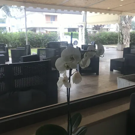 Royal Hotel 3*